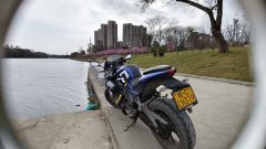 Tairong GP1-250R - ფოტო 3