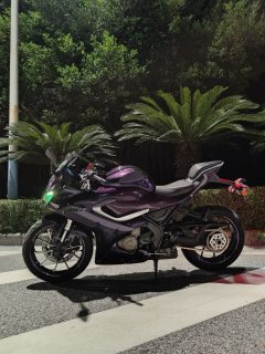 QJMOTOR SRK 250 - фото 2