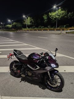 QJMOTOR SRK 250 - фото 3