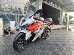 QJMOTOR SRK 250 - ფოტო 1