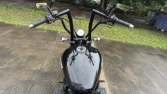 Mojiang Bob 800 cc - ფოტო 5