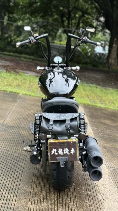 Mojiang Bob 800 cc - ფოტო 8