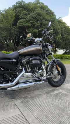 Harley-Davidson 1200 Custom - ფოტო 10