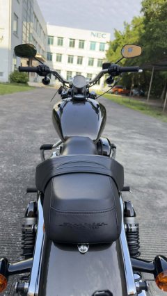 Harley-Davidson 1200 Custom - ფოტო 11