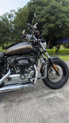 Harley-Davidson 1200 Custom - ფოტო 12