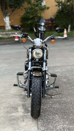 Harley-Davidson 1200 Custom - ფოტო 2