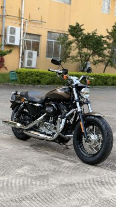 Harley-Davidson 1200 Custom - ფოტო 7