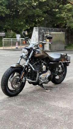 Harley-Davidson 1200 Custom - ფოტო 9