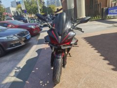 QJMOTOR Sai 600 - photo 1