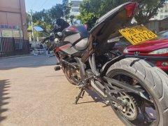 QJMOTOR Sai 600 - photo 5