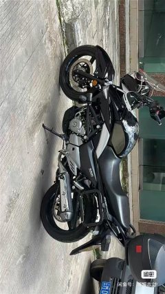 Haojue Suzuki GW250 - ფოტო 2