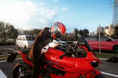 QJMOTOR Roewe i5 550 / Sai 550 *(Context-dependent, usually referring to the motorcycle "Sai 550" or Roewe car v - ფოტო 4