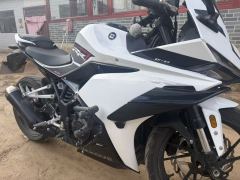 Kayo 250RR Thornbird - ფოტო 2