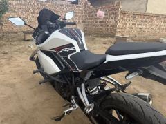 Kayo 250RR Thornbird - ფოტო 5