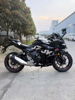 Haojue Suzuki GSX250R - ფოტო 4