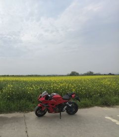 QJMOTOR Sai 600 680 cc - photo 3