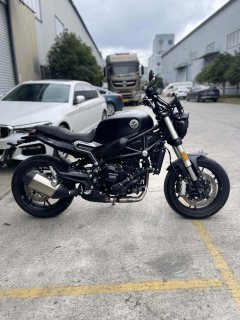Benelli Leoncino 800 750 cc - ფოტო 2