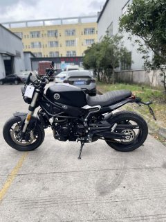 Benelli Leoncino 800 750 cc - ფოტო 6