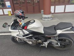 QJMOTOR 550 - photo 1