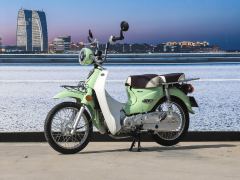 Luojia 110 cc - ფოტო 1