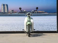 Luojia 110 cc - ფოტო 2