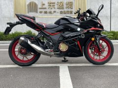 Haojue Suzuki GSX250R - ფოტო 1
