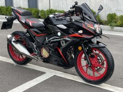 Haojue Suzuki GSX250R - ფოტო 2