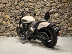 Benda Chinchilla 350 - photo 9