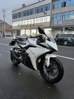 Kayo 250RR Thornbird - ფოტო 1