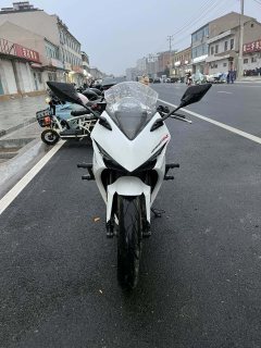 Kayo 250RR Thornbird - ფოტო 2