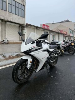 Kayo 250RR Thornbird - ფოტო 3