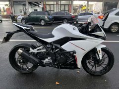 Kayo 250RR Thornbird - ფოტო 4