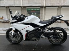 Kayo 250RR Thornbird - ფოტო 5