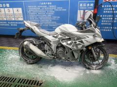 Haojue Suzuki GSX250R - ფოტო 2