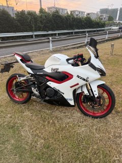 QJMOTOR SRK 250 - ფოტო 2