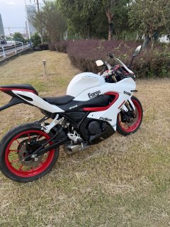 QJMOTOR SRK 250 - ფოტო 4