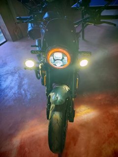 Benelli Lion Cub Leoncino 500 - photo 2