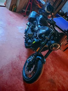 Benelli Lion Cub Leoncino 500 - photo 3