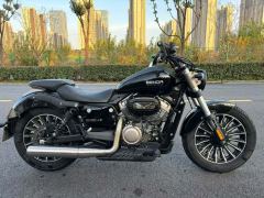 Benda Polestones 03 Gray 300 cc - photo 1