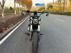 Benda Polestones 03 Gray 300 cc - photo 2