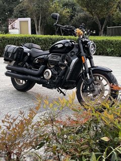 Voge CU250 - ფოტო 7