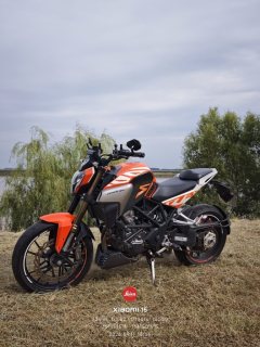 Kayo Cobra 321R 320 cc - ფოტო 1
