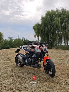 Kayo Cobra 321R 320 cc - ფოტო 2