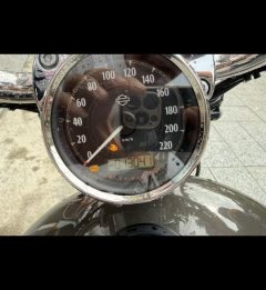 Harley-Davidson 1200 Custom - фото 5