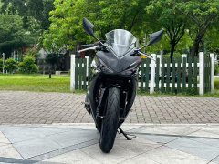 Kayo 250RR Thornbird - ფოტო 2