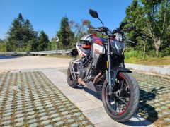 Kayo Cobra 321R 320 cc - ფოტო 10