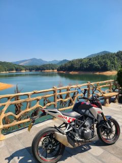 Kayo Cobra 321R 320 cc - ფოტო 8
