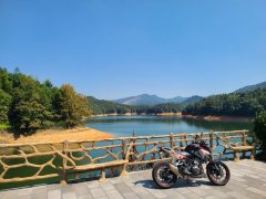 Kayo Cobra 321R 320 cc - ფოტო 9