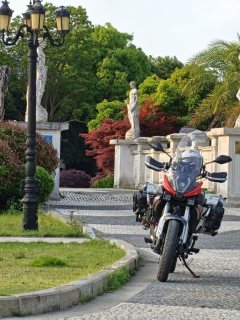 QJMOTOR Snapdragon 600 560 cc - ფოტო 3