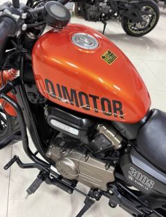 QJMOTOR Flash 300 - photo 4